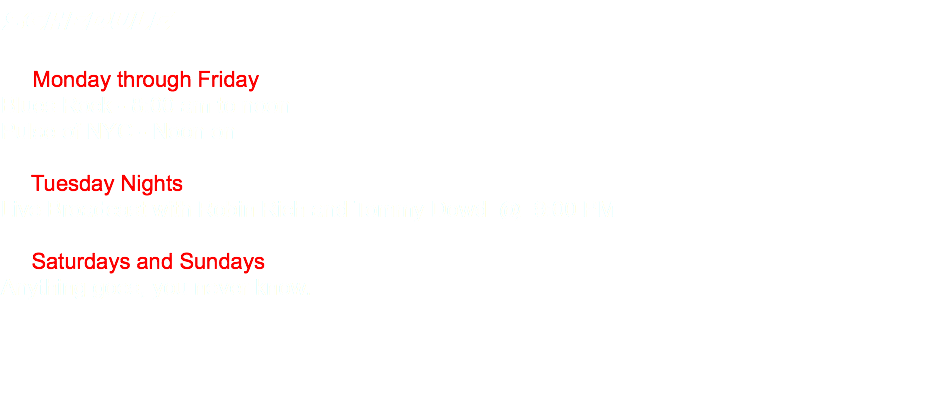 Schedule Monday through Friday Blues Rock - 8:00 am to noon Pulse of NYC - Noon on Tuesday Nights Live Broadcast with Robin Rich and Tommy Dowd @ 9:00 PM Saturdays and Sundays Anything goes, you never know. 